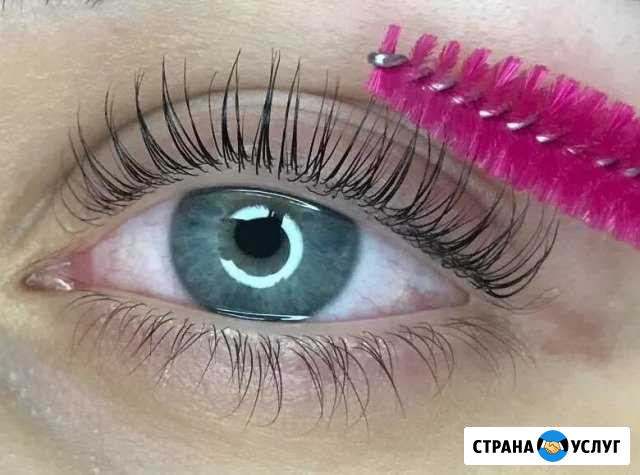 Реконструкция ресниц velvet + Botox 6 D Петропавловск-Камчатский - изображение 1