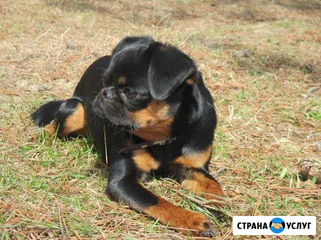 Вязка Березники - изображение 1