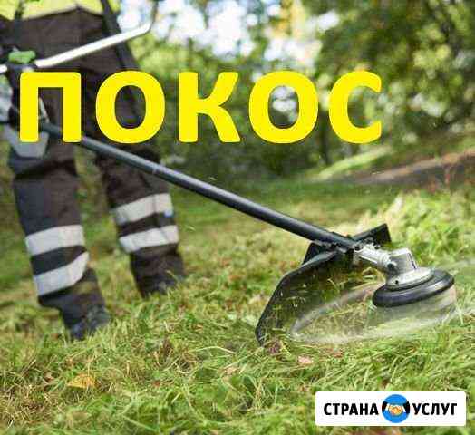 Покос травы и бурьяна Калининград