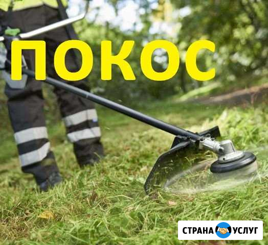 Покос травы и бурьяна Калининград - изображение 1