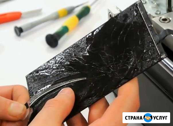 Замена стекло iPhone Калининград - изображение 1
