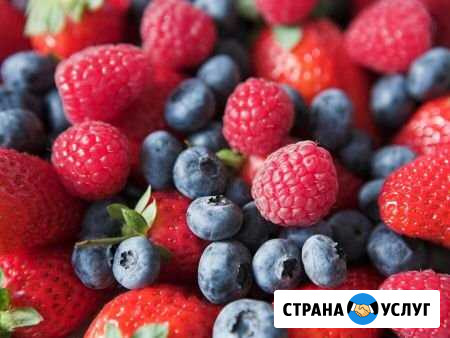 Лесные ягоды,лисички Ярославль - изображение 1