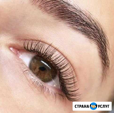 Наращивание/ламинирование ресниц Коммунар - изображение 1