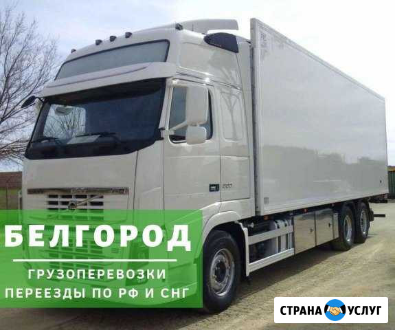 Грузоперевозки Белгород - изображение 1