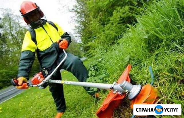 Скос травы Сызрань - изображение 1