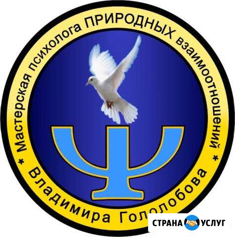 Мастерская психолога Владимира Гололобова Тула - изображение 1
