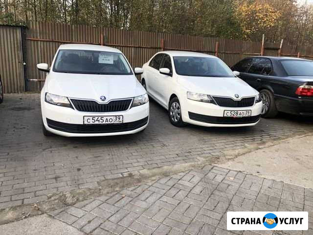 Аренда автомобилей. Прокат авто Калининград - изображение 1