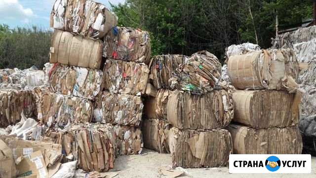 Приём вторсырья Ростов-на-Дону - изображение 1