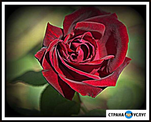 Фотограф Пятигорск - изображение 1