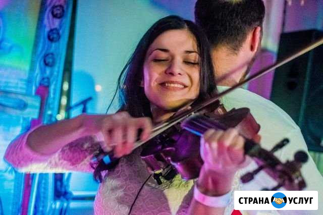 Скрипка на мероприятие Красноярск - изображение 1