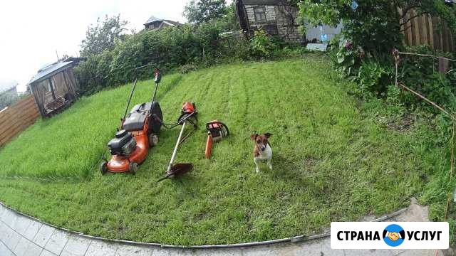 Покос травы/Вспашка земли/Спил деревьев/Благоустро Углич - изображение 1