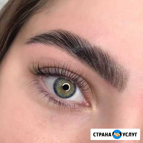 Обучение долговременная укладка бровей Курск - изображение 1