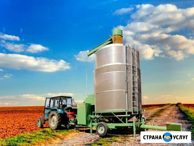 Услуги по сушке зерна, кукурузы, масличных культур Лог - изображение 1