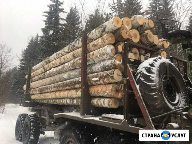 Дрова сухие и свежие Нижний Тагил - изображение 1