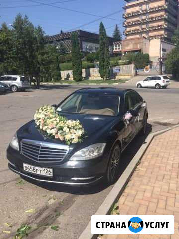 Прокат авто бизнес класса на Свадьбу и мероприятия Пятигорск - изображение 1