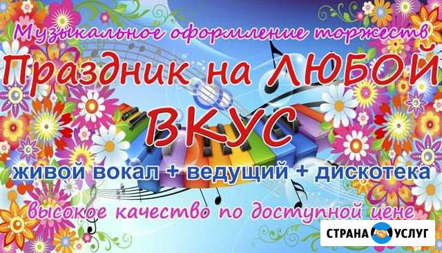 Музыкальное оформление торжеств Лиски - изображение 1