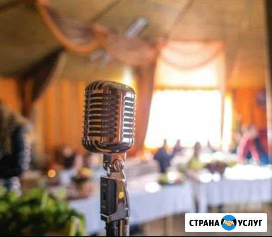 Поздравительная песня текст песни на заказ Екатеринбург - изображение 1