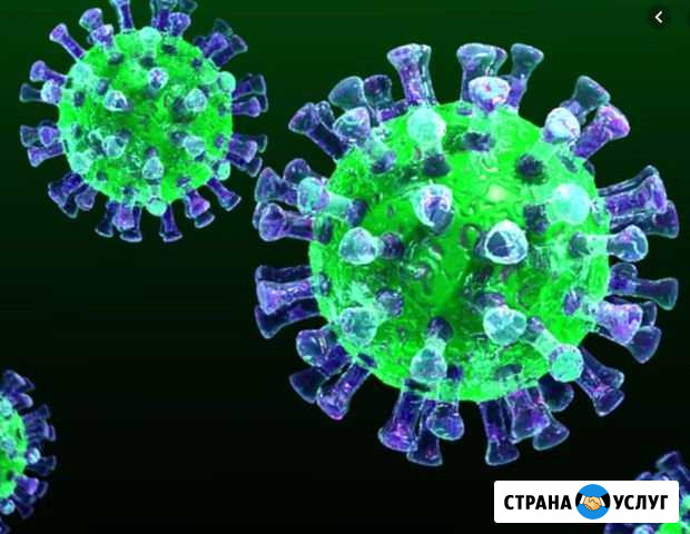 Дезинфекция, Дезинсекция Симоненко - изображение 1