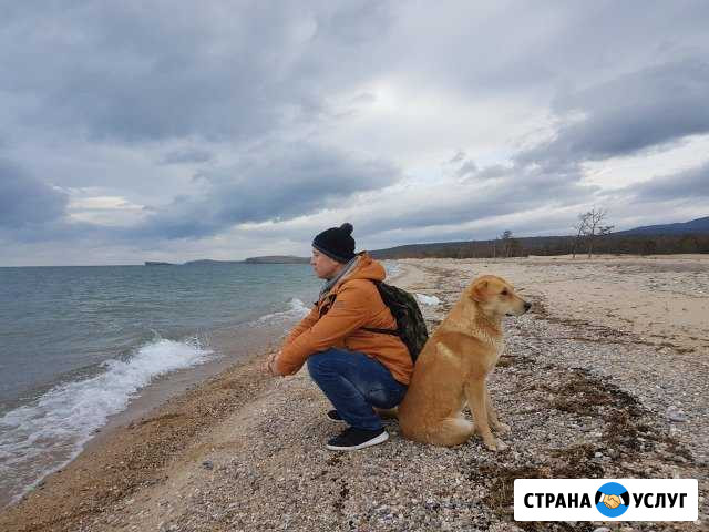 Уход за животными. Гостиница для собак. Передержка Москва - изображение 1