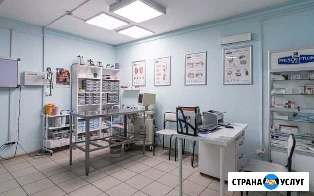 Рабочее место грумера Балашиха - изображение 1