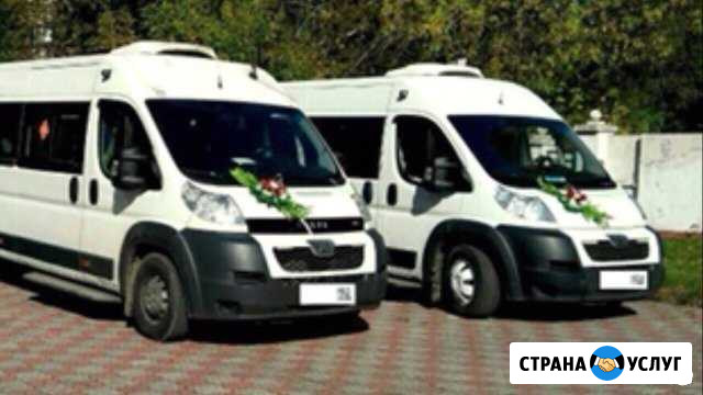 Пассажирские перевозки на микроавтобусах Нижний Новгород - изображение 1