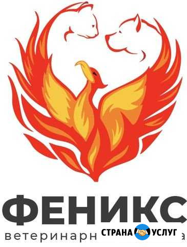 Ветеринарная клиника Ковров - изображение 1