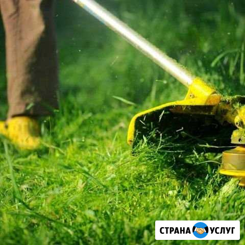 Покос травы Тейково - изображение 1