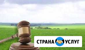 Торги, индивидуальное обучение Уфа - изображение 1