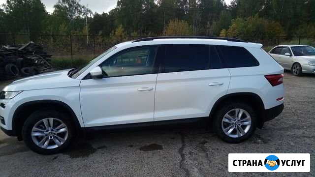 Аренда Авто на свадьбу Дзержинск - изображение 1