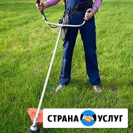 Покос травы тримером. Нож/круг/леска Старый Оскол - изображение 1