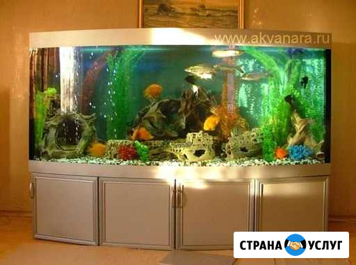 Обслуживание аквариума. Оформление аквариума Воронеж - изображение 1