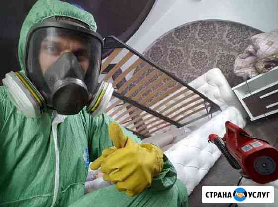 Уничтожение тараканов, клопов, вредителей Санкт-Петербург