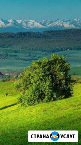 Скошу траву Ульяновск - изображение 1
