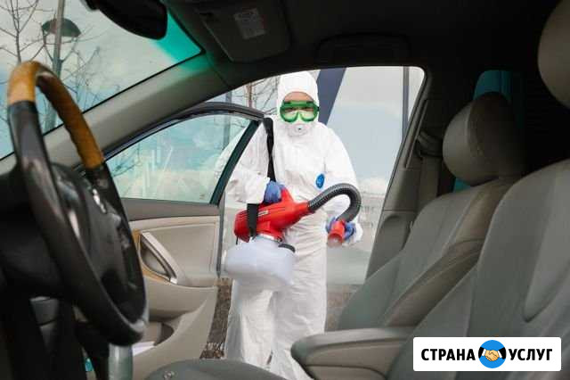 Дезинфекция автомобиля холодным туманом Екатеринбург - изображение 1