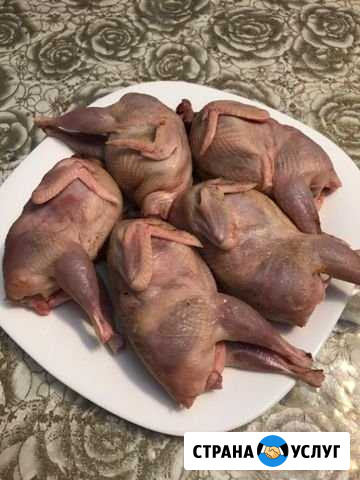 Мясо перепелов Пироговский - изображение 1
