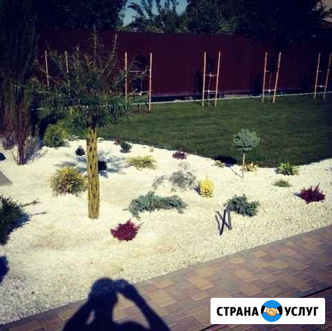 Озеленение Волжский Волгоградской области - изображение 1