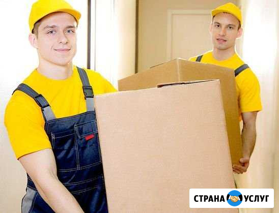 Грузчики Рязань - изображение 1