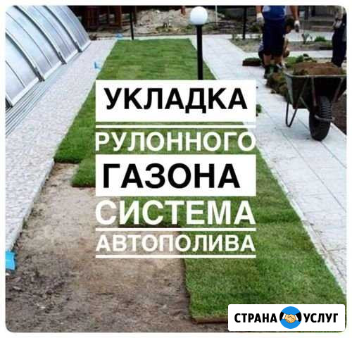 Укладка рулонного газона.Автополив.Аэрация,подарок Ульяновск - изображение 1
