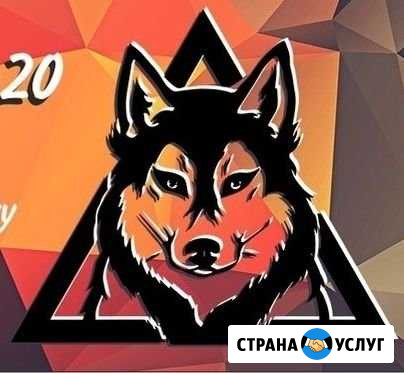 Дрессировка-коррекция собак Лиски - изображение 1