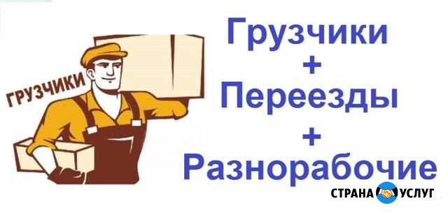 Грузчики,разнорабочие Владимир - изображение 1