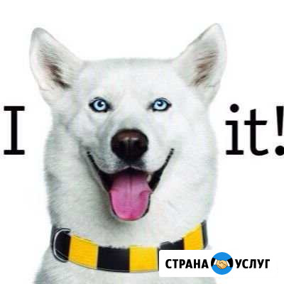 Интернет Балашиха - изображение 1
