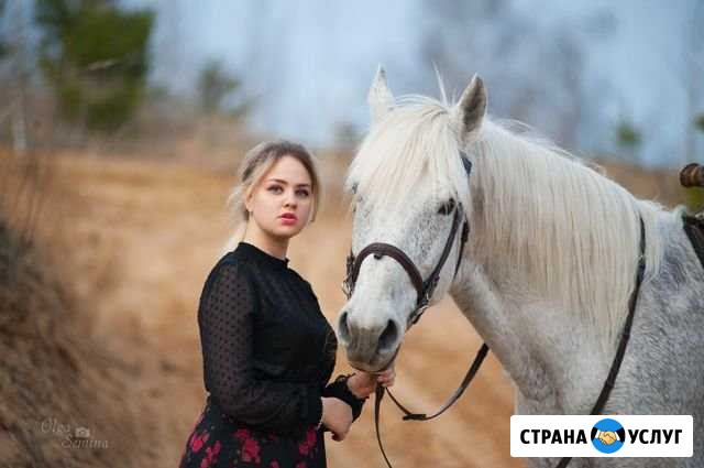 Фотосессии с лошадьми Киржач - изображение 1
