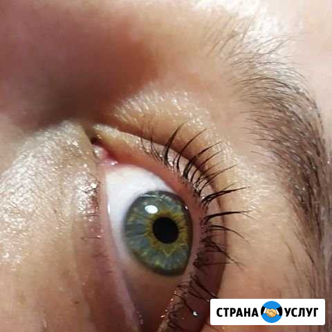 Сладкая цена на Июль Ламинирование, ботокс ресниц Красноярск - изображение 1