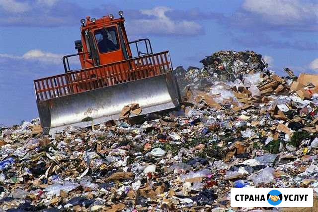 Вывоз мусора Новошахтинск - изображение 1