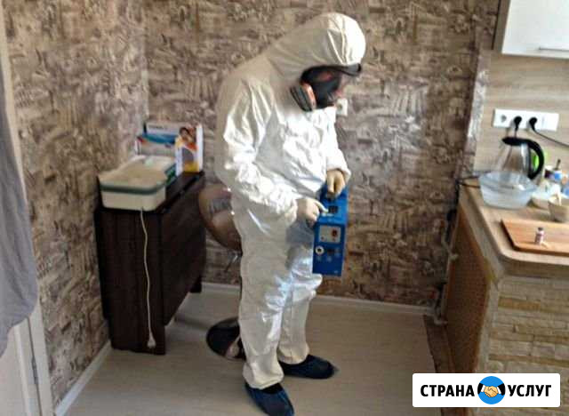 Уничтожение клопов, тараканов, грызунов. Договор Ижевск - изображение 1