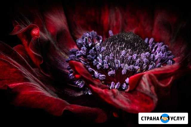 Фотограф Курганинск - изображение 1