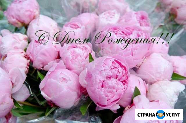 Креатив Сальск - изображение 1