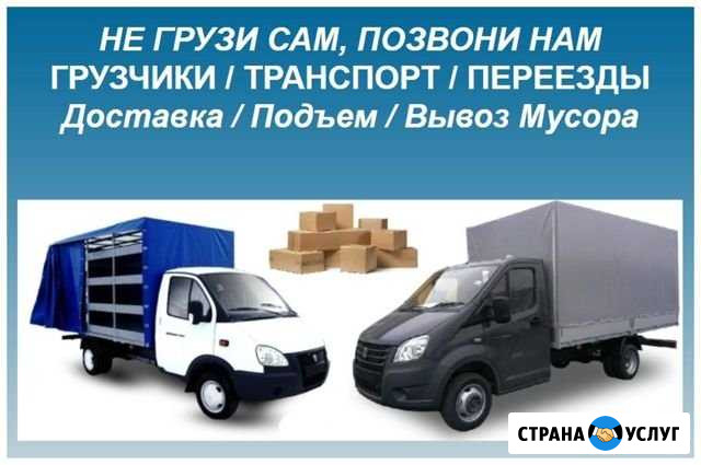 Грузчики профессионалы Переезды Воскресенск - изображение 1