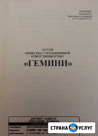 Открытие ип и ооо в электронном виде Курск - изображение 1