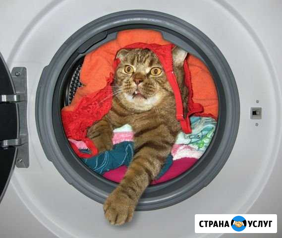 Ремонт бытовой техники Волгодонск - изображение 1